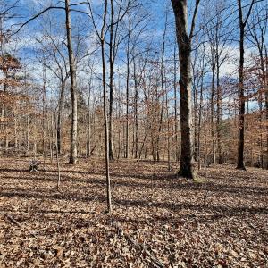 Photo #9 of off Salem Road, Schuyler, VA 4.8 acres