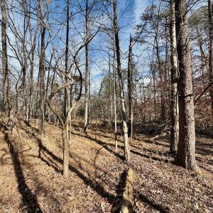 Photo #17 of off Salem Road, Schuyler, VA 4.8 acres
