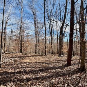 Photo #19 of off Salem Road, Schuyler, VA 4.8 acres