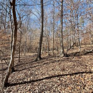 Photo #21 of off Salem Road, Schuyler, VA 4.8 acres