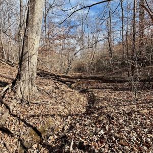 Photo #22 of off Salem Road, Schuyler, VA 4.8 acres