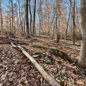 Photo #25 of off Salem Road, Schuyler, VA 4.8 acres