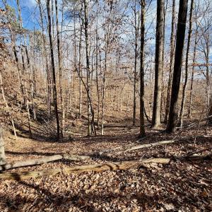 Photo #26 of off Salem Road, Schuyler, VA 4.8 acres