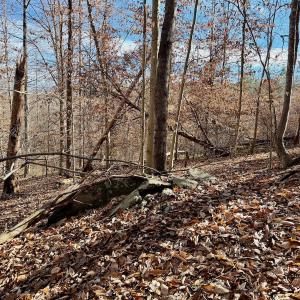 Photo #27 of off Salem Road, Schuyler, VA 4.8 acres