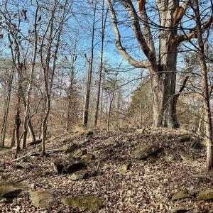 Photo #28 of off Salem Road, Schuyler, VA 4.8 acres