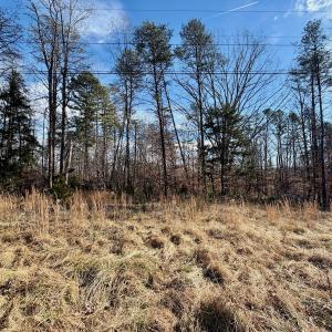 Photo #29 of off Salem Road, Schuyler, VA 4.8 acres