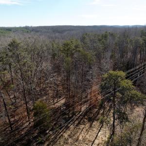 Photo #30 of off Salem Road, Schuyler, VA 4.8 acres