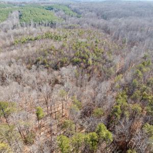 Photo #32 of off Salem Road, Schuyler, VA 4.8 acres