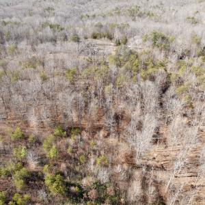 Photo #38 of off Salem Road, Schuyler, VA 4.8 acres