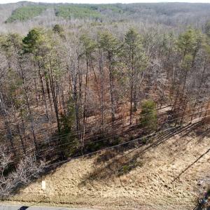 Photo #40 of off Salem Road, Schuyler, VA 4.8 acres
