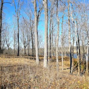 Photo #17 of Off Boxwood Shores Drive, Boydton, VA 3.4 acres