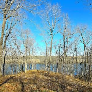 Photo #18 of Off Boxwood Shores Drive, Boydton, VA 3.4 acres