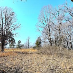 Photo #19 of Off Boxwood Shores Drive, Boydton, VA 3.4 acres