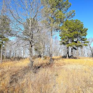 Photo #22 of Off Boxwood Shores Drive, Boydton, VA 3.4 acres