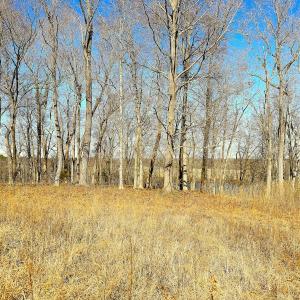 Photo #9 of Off Boxwood Shores Drive, Boydton, VA 3.4 acres