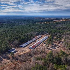 Photo #12 of 1474 Hillmon Grove Rd, Cameron, NC 59.1 acres