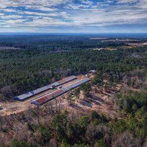 Photo #13 of 1474 Hillmon Grove Rd, Cameron, NC 59.1 acres