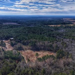 Photo #15 of 1474 Hillmon Grove Rd, Cameron, NC 59.1 acres