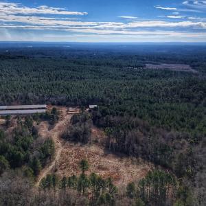 Photo #19 of 1474 Hillmon Grove Rd, Cameron, NC 59.1 acres