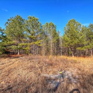 Photo #20 of 1474 Hillmon Grove Rd, Cameron, NC 59.1 acres