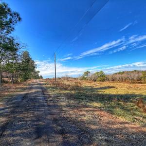 Photo #3 of 1474 Hillmon Grove Rd, Cameron, NC 59.1 acres
