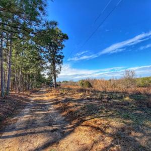Photo #4 of 1474 Hillmon Grove Rd, Cameron, NC 59.1 acres