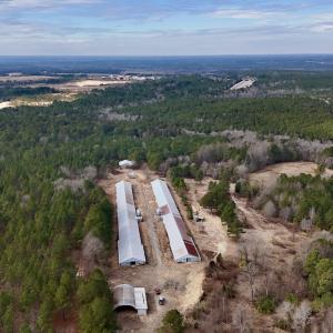 Photo #8 of 1474 Hillmon Grove Rd, Cameron, NC 59.1 acres