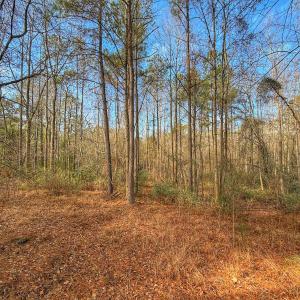 Photo #22 of 1474 Hillmon Grove Rd, Cameron, NC 59.1 acres