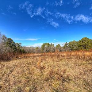 Photo #24 of 1474 Hillmon Grove Rd, Cameron, NC 59.1 acres