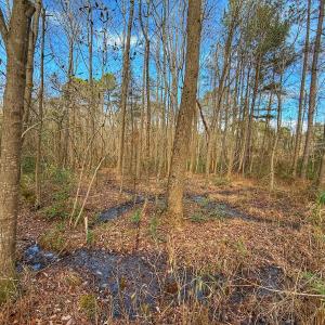 Photo #26 of 1474 Hillmon Grove Rd, Cameron, NC 59.1 acres