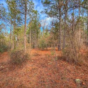 Photo #28 of 1474 Hillmon Grove Rd, Cameron, NC 59.1 acres