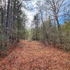 Photo #29 of 1474 Hillmon Grove Rd, Cameron, NC 59.1 acres