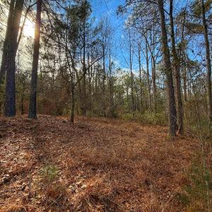 Photo #36 of 1474 Hillmon Grove Rd, Cameron, NC 59.1 acres