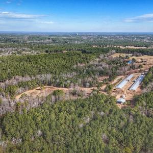 Photo #37 of 1474 Hillmon Grove Rd, Cameron, NC 59.1 acres