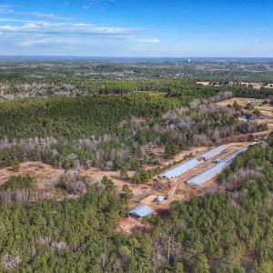 Photo #39 of 1474 Hillmon Grove Rd, Cameron, NC 59.1 acres