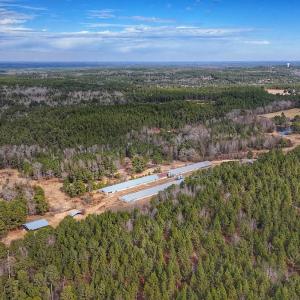 Photo #40 of 1474 Hillmon Grove Rd, Cameron, NC 59.1 acres