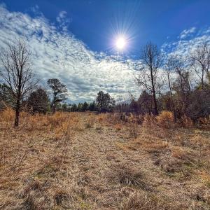 Photo #42 of 1474 Hillmon Grove Rd, Cameron, NC 59.1 acres