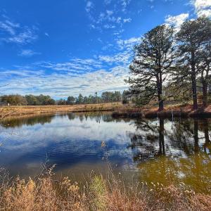 Photo #45 of 1474 Hillmon Grove Rd, Cameron, NC 59.1 acres