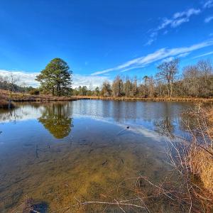 Photo #47 of 1474 Hillmon Grove Rd, Cameron, NC 59.1 acres