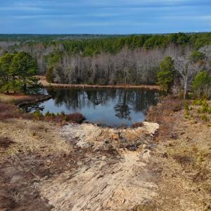 Photo #53 of 1474 Hillmon Grove Rd, Cameron, NC 59.1 acres