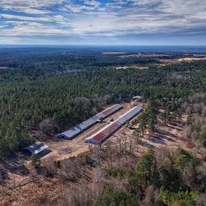 Photo #12 of 1474 Hillmon Grove Rd, Cameron, NC 59.1 acres