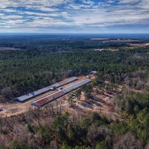 Photo #13 of 1474 Hillmon Grove Rd, Cameron, NC 59.1 acres