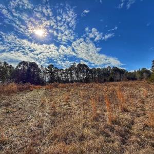 Photo #16 of 1474 Hillmon Grove Rd, Cameron, NC 59.1 acres