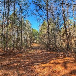 Photo #21 of 1474 Hillmon Grove Rd, Cameron, NC 59.1 acres