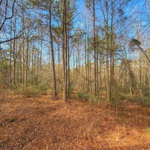 Photo #22 of 1474 Hillmon Grove Rd, Cameron, NC 59.1 acres