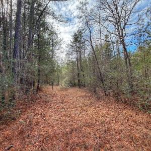 Photo #29 of 1474 Hillmon Grove Rd, Cameron, NC 59.1 acres