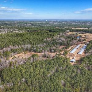 Photo #37 of 1474 Hillmon Grove Rd, Cameron, NC 59.1 acres