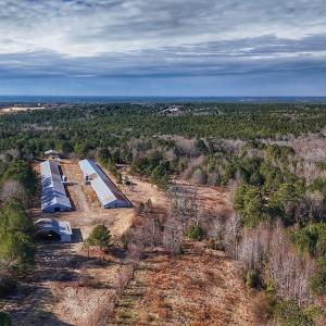 Photo #5 of 1474 Hillmon Grove Rd, Cameron, NC 59.1 acres