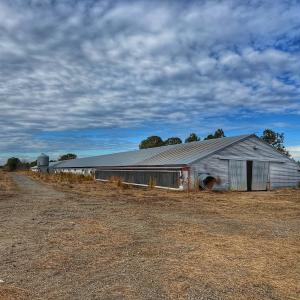 Photo #7 of 1474 Hillmon Grove Rd, Cameron, NC 59.1 acres