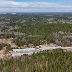 Photo #41 of 1474 Hillmon Grove Rd, Cameron, NC 59.1 acres